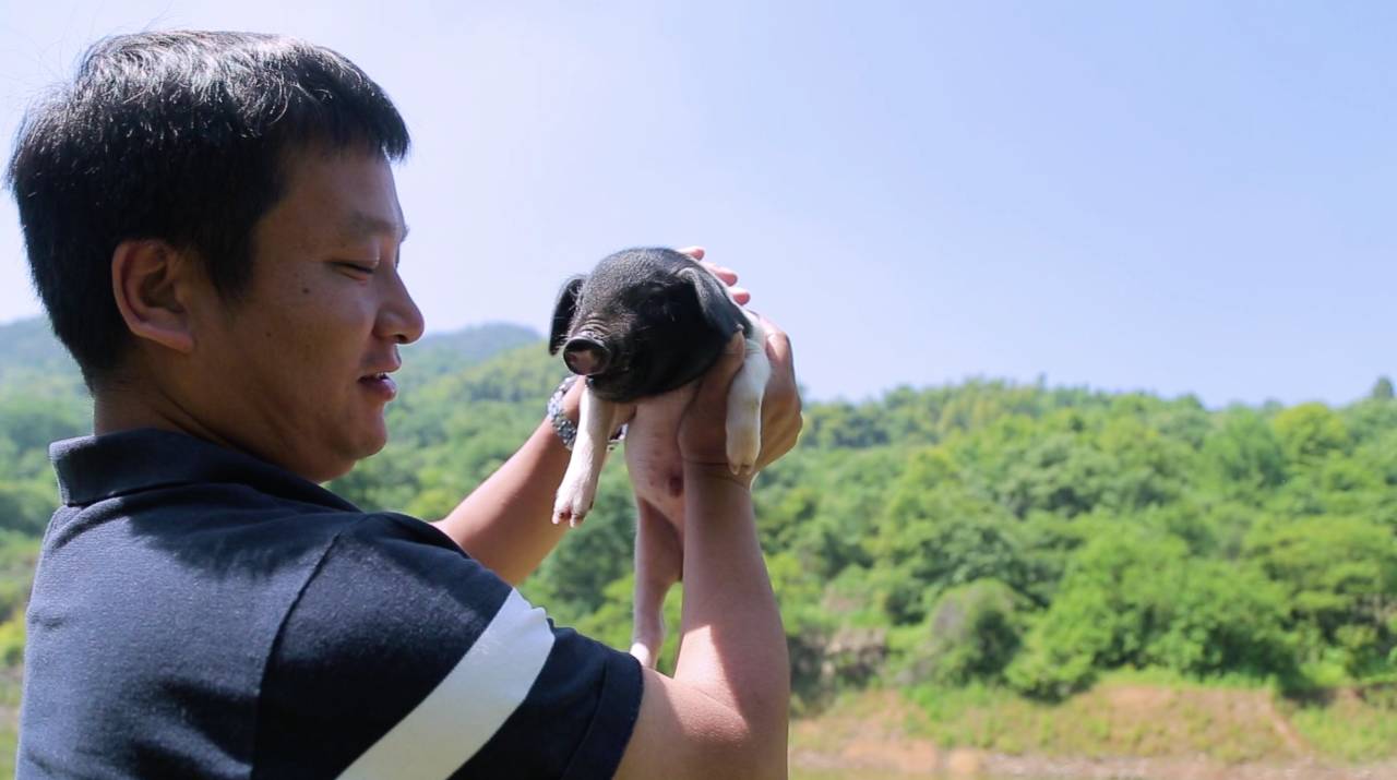 新安江畔谷掌民宿，莊園里享受青山環(huán)繞的美景