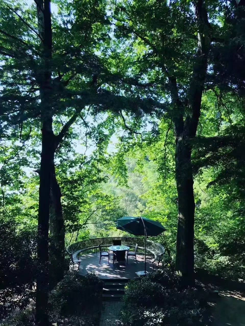 忘山別墅莫干山民宿，一棟百年歷史的民國(guó)別墅