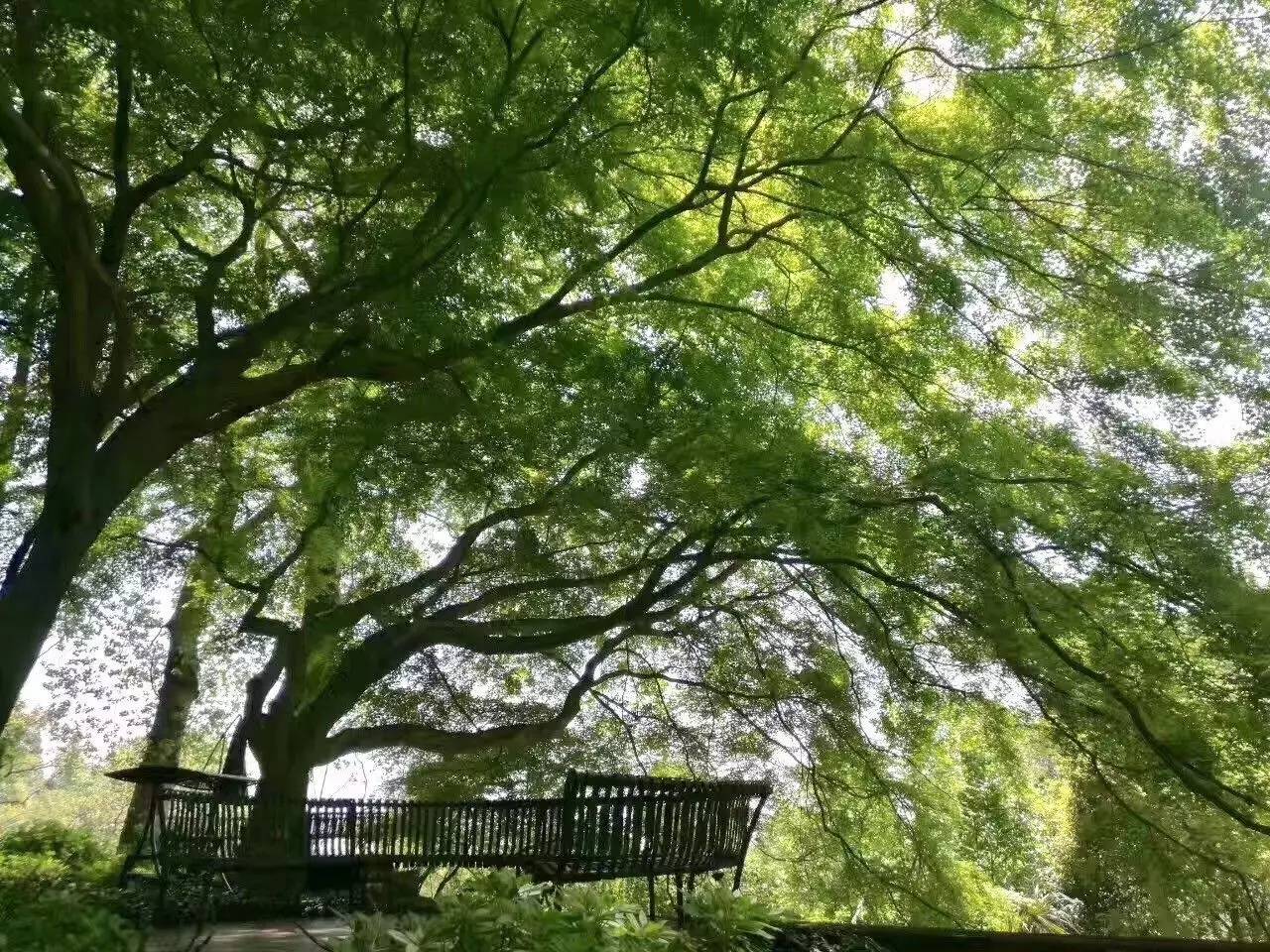 忘山別墅莫干山民宿，一棟百年歷史的民國(guó)別墅