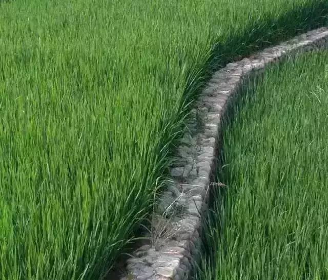 九華山德懋堂，九華山間打坐冥想清涼入心