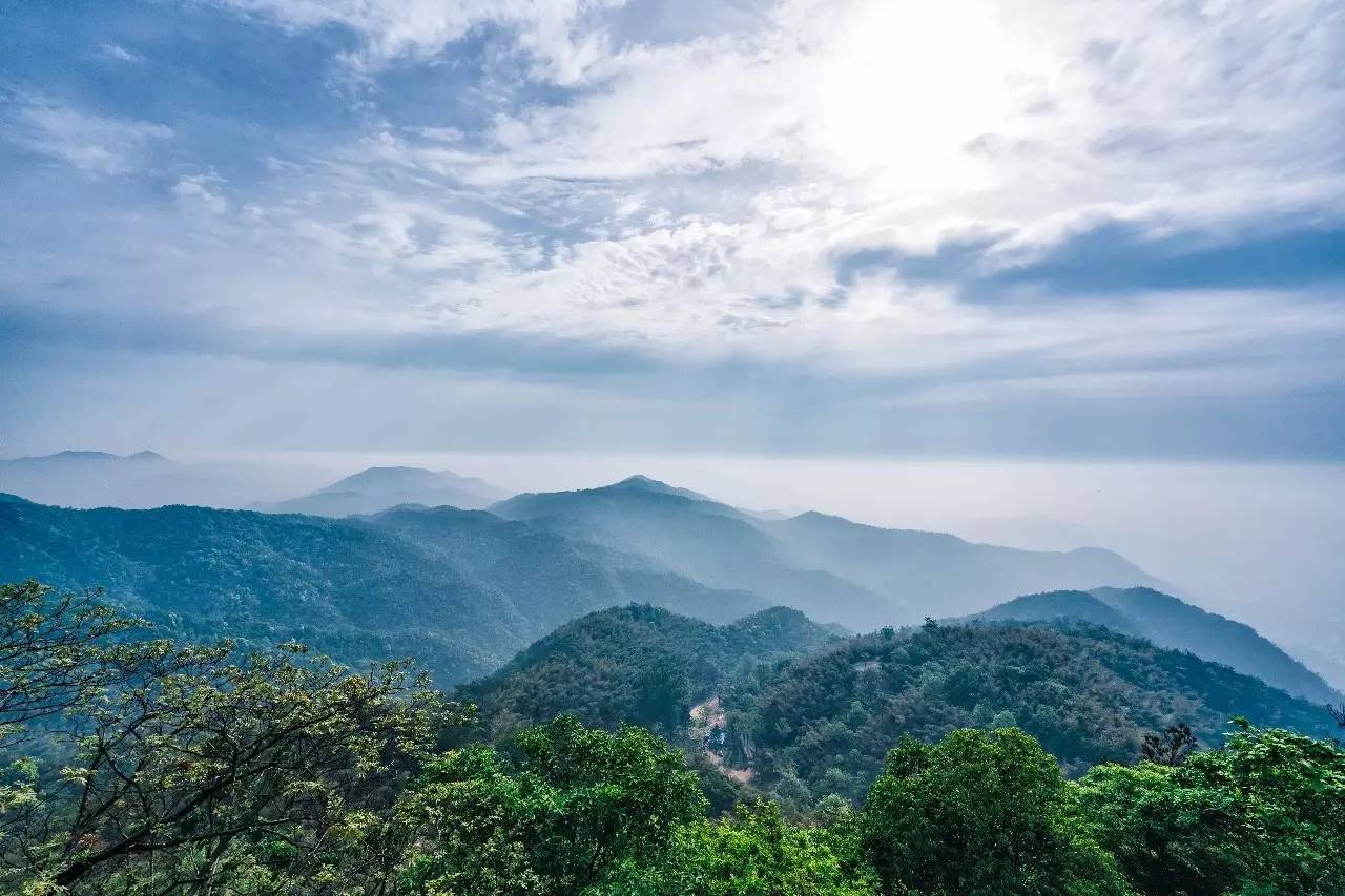 杭州山舍民宿，喝一壺茶聞桂花十里飄香