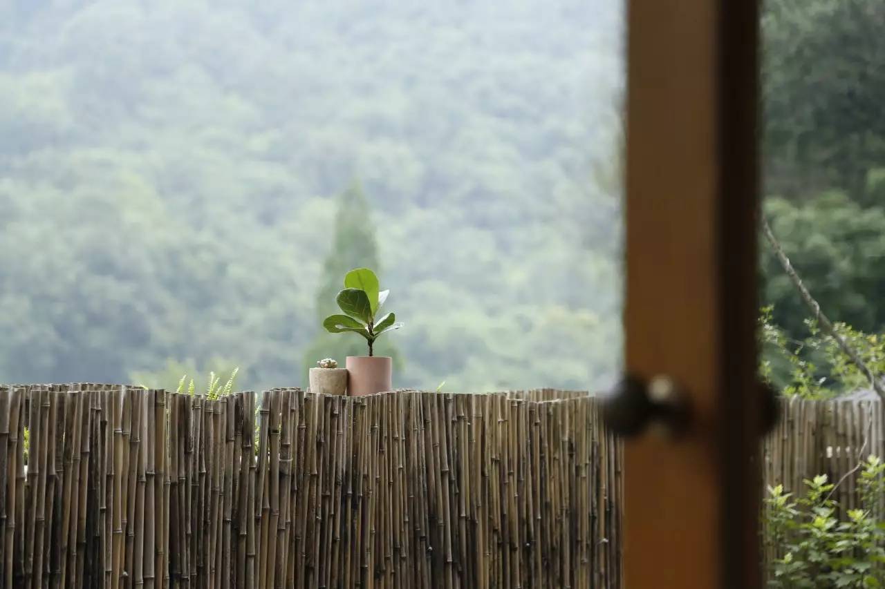 杭州山舍民宿，喝一壺茶聞桂花十里飄香