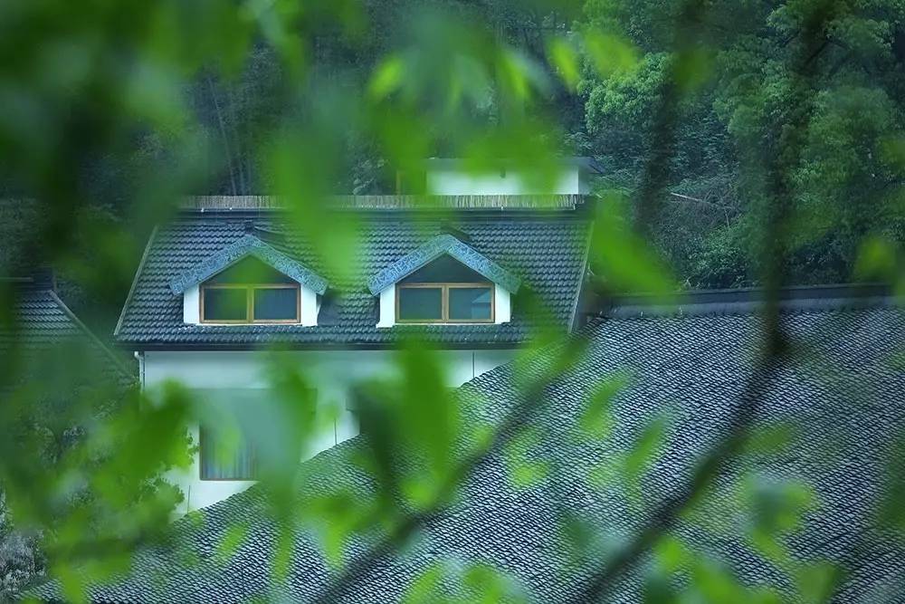 杭州山舍民宿，喝一壺茶聞桂花十里飄香