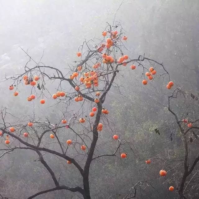 北京姥姥家民宿，聽(tīng)故事感受自在的心靈時(shí)光