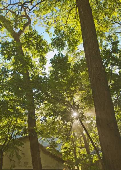 北京姥姥家民宿，聽(tīng)故事感受自在的心靈時(shí)光