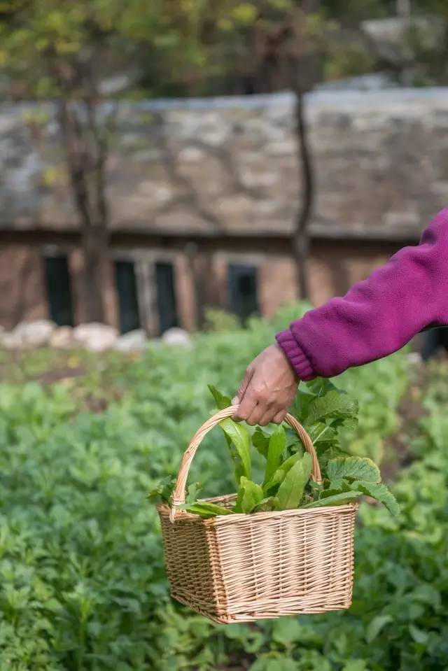 北京姥姥家民宿，聽故事感受自在的心靈時光