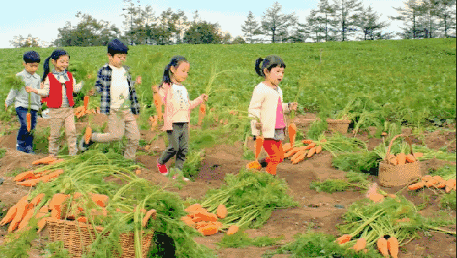 天堂山鄉(xiāng)愛樹民宿，古色古香的童話小鎮(zhèn)