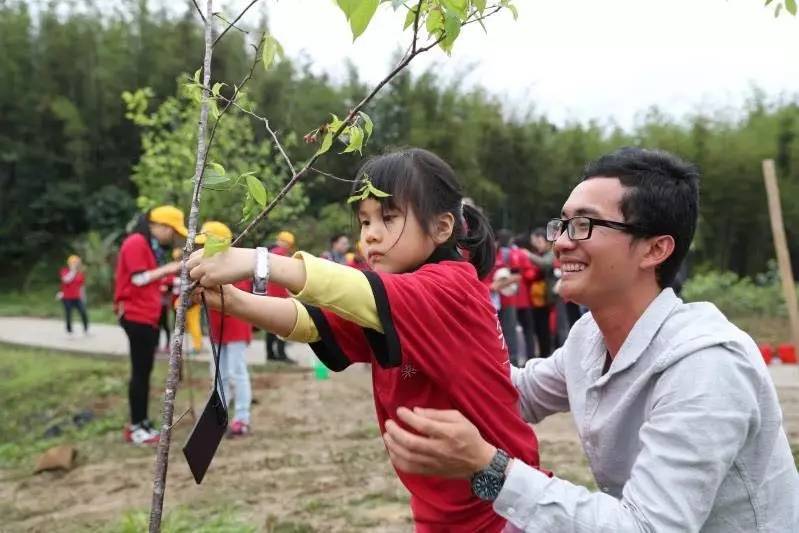 天堂山鄉(xiāng)愛樹民宿，古色古香的童話小鎮(zhèn)
