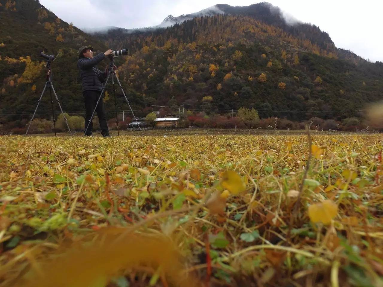 拉薩曲吉林卡，在世界之顛的圣城感受藏族文化