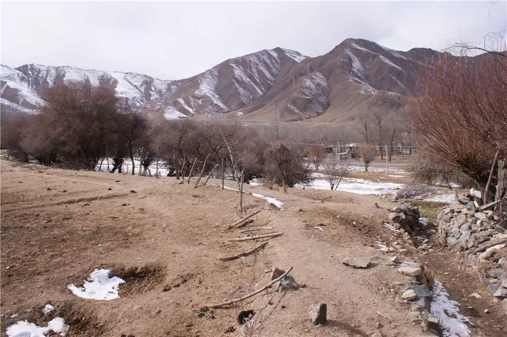 拉薩曲吉林卡，在世界之顛的圣城感受藏族文化