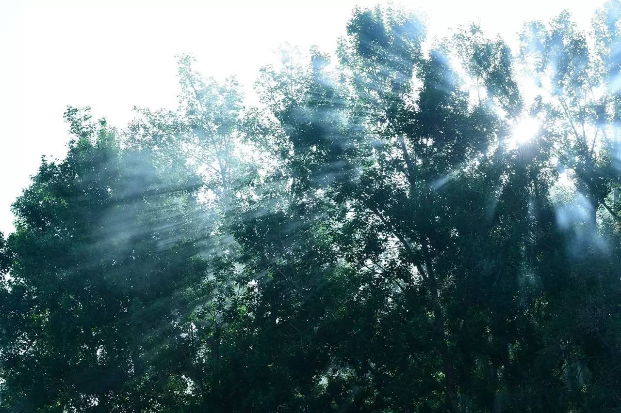 松贊拉薩曲吉林卡，用松贊的方式重走拉薩