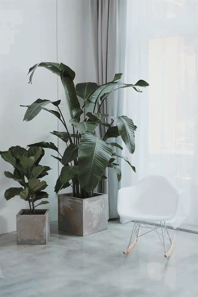 杭州一緒民宿，用鏡頭感受世間一切美好