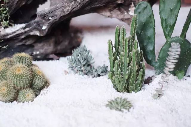 杭州一緒民宿，用鏡頭感受世間一切美好