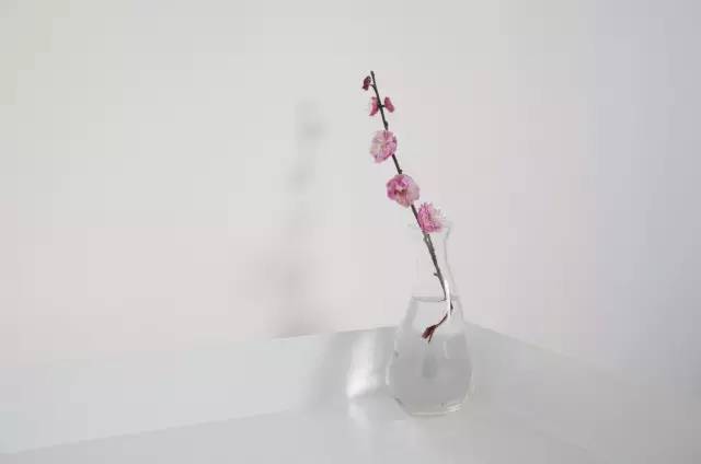 杭州一緒民宿，用鏡頭感受世間一切美好