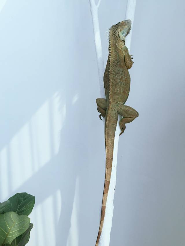 杭州一緒民宿，用鏡頭感受世間一切美好