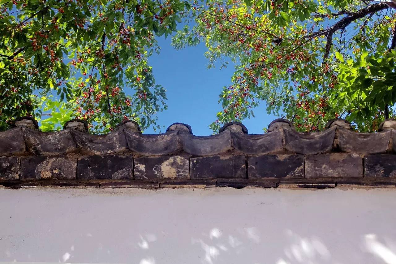 融居·銀箔泉，來(lái)銀箔泉邊喝茶看蒼山洱海