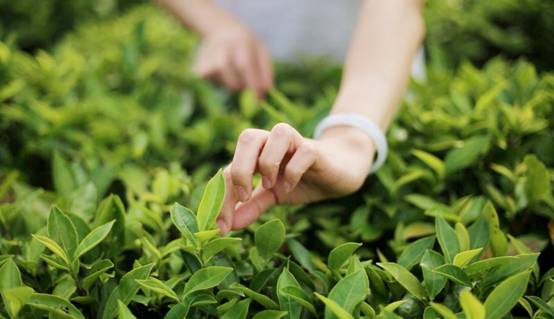 壹城一家，一座城一盞燈一個(gè)家在守候你