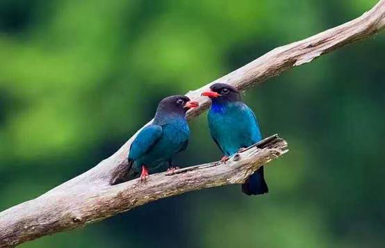 壹城一家，一座城一盞燈一個(gè)家在守候你