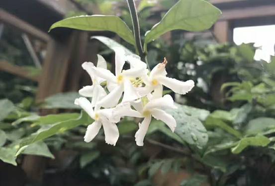 壹城一家，一座城一盞燈一個(gè)家在守候你