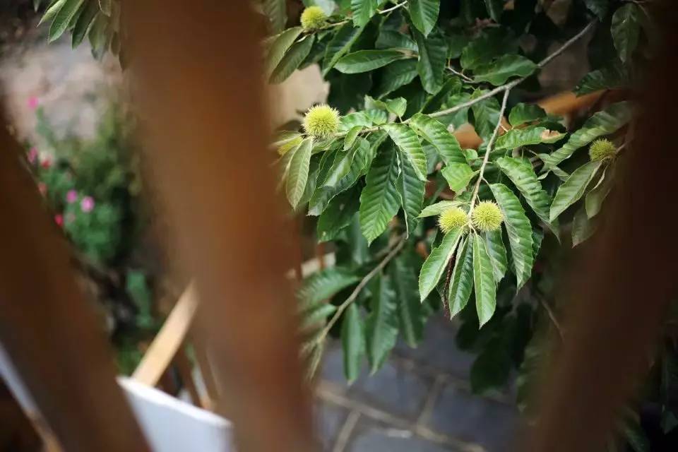 壹城一家，一座城一盞燈一個(gè)家在守候你