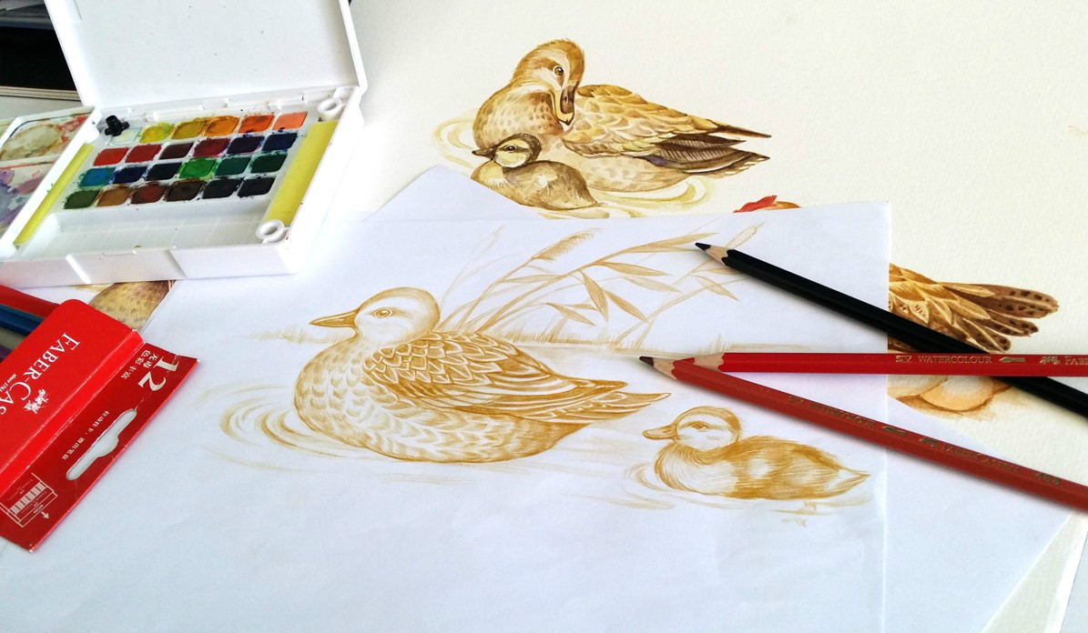 初生蛋食品包裝設計