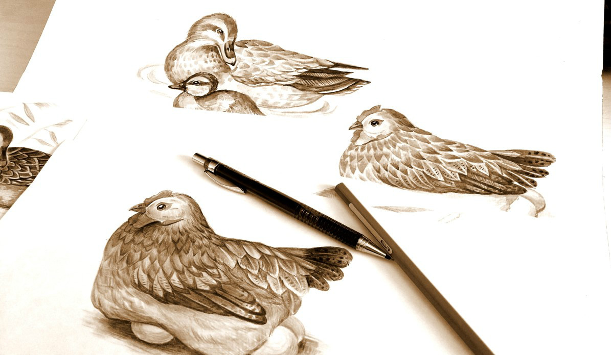 初生蛋食品包裝設計