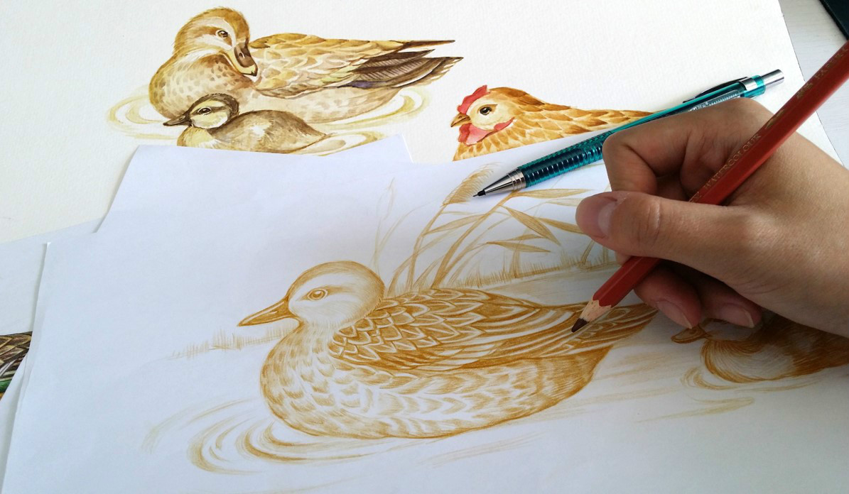 初生蛋食品包裝設計