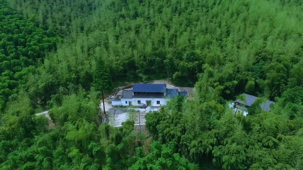 鳴林民宿，穿越千山萬水魂?duì)繅羲鞯闹挥屑亦l(xiāng)