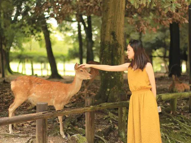 鳴林民宿，穿越千山萬水魂牽夢索的只有家鄉(xiāng)