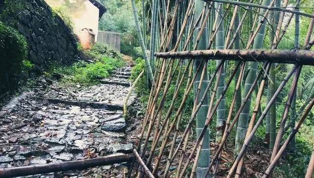 鳴林民宿，穿越千山萬(wàn)水魂?duì)繅?mèng)索的只有家鄉(xiāng)