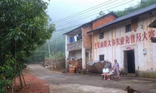 桐廬山中傳奇艾弗德堡藝社，打造一個藝術村落