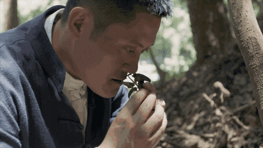 養(yǎng)智香鋪，沉香的功效與作用