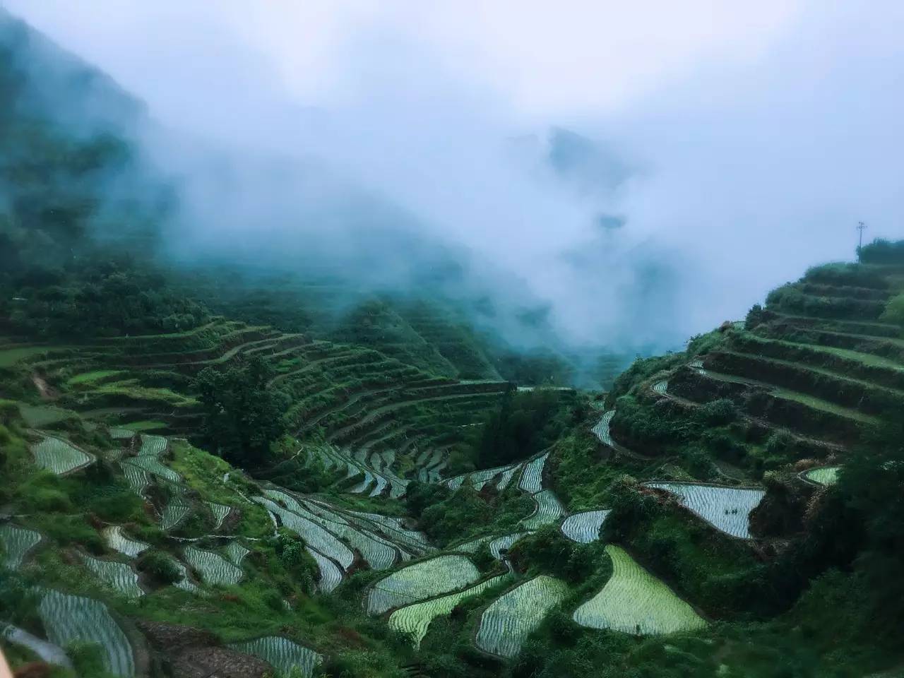 如隱·小佐居，半入溪水半入云