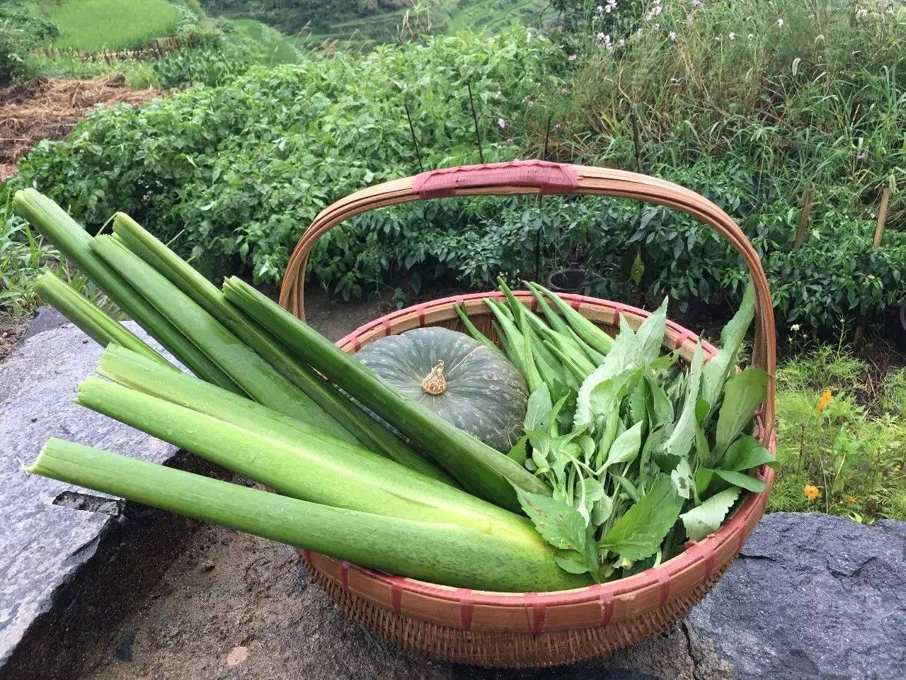 如隱·小佐居，半入溪水半入云