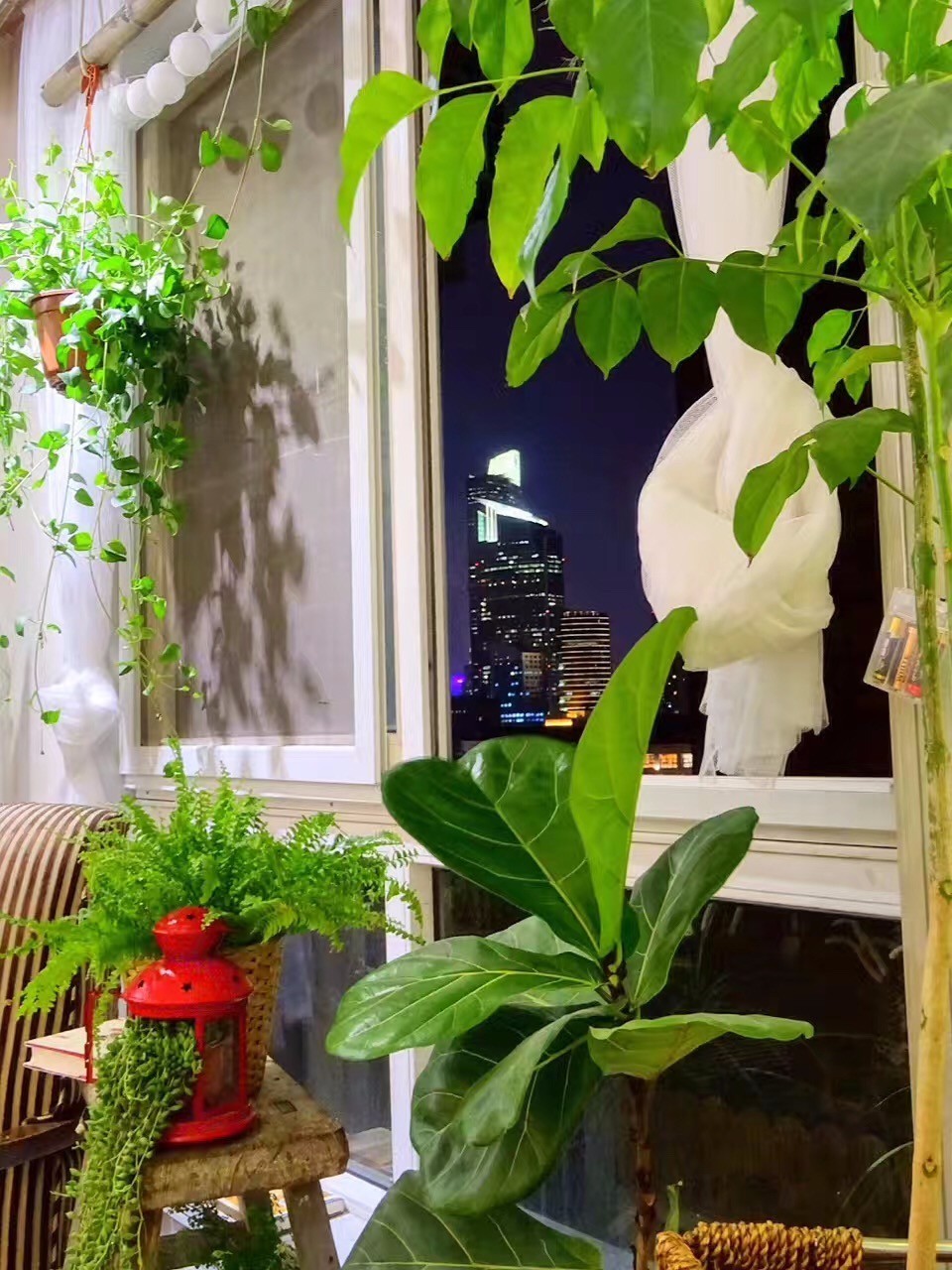 信宿·湖隱一號，在市井里大隱隱于市