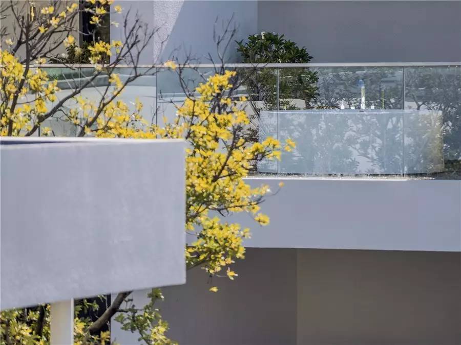 雪山莊園，只是天堂下降了一點(diǎn)點(diǎn)