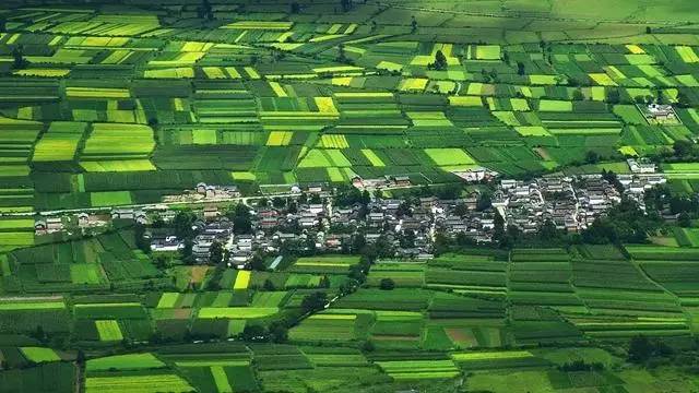 雪山莊園，只是天堂下降了一點(diǎn)點(diǎn)