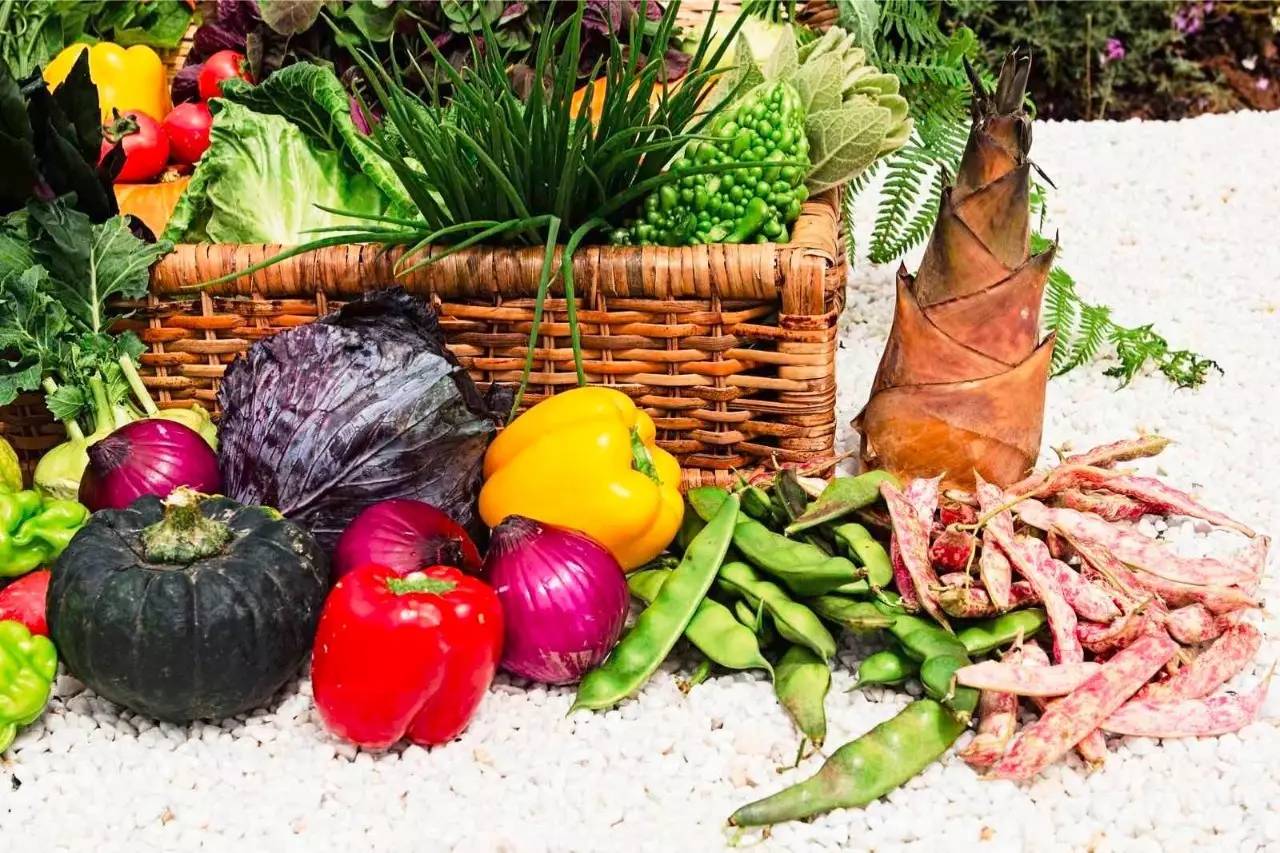 雪山莊園，只是天堂下降了一點點