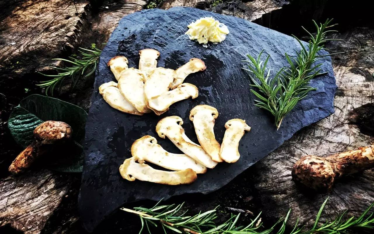 雪山莊園，只是天堂下降了一點(diǎn)點(diǎn)