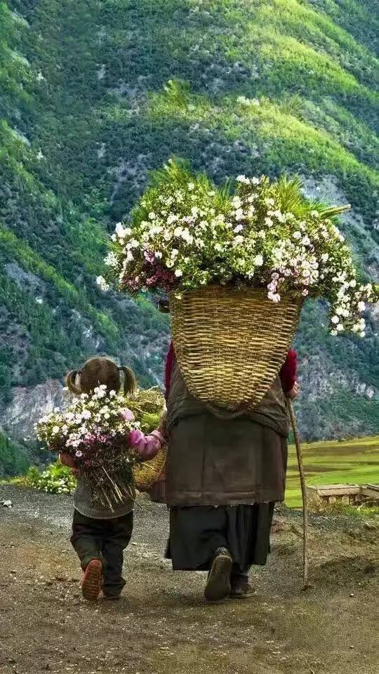 天空之城南杉藝術(shù)酒店，在月光之城尋找探索
