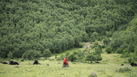 天空之城南杉藝術(shù)酒店，在月光之城尋找探索