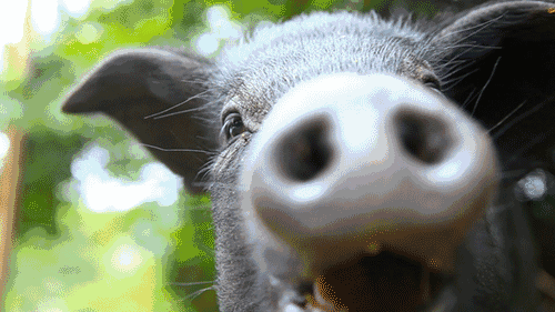 天空之城南杉藝術(shù)酒店，在月光之城尋找探索