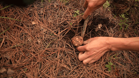 天空之城南杉藝術(shù)酒店，在月光之城尋找探索