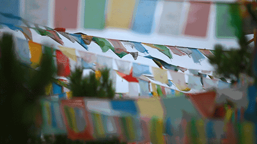 天空之城南杉藝術(shù)酒店，在月光之城尋找探索