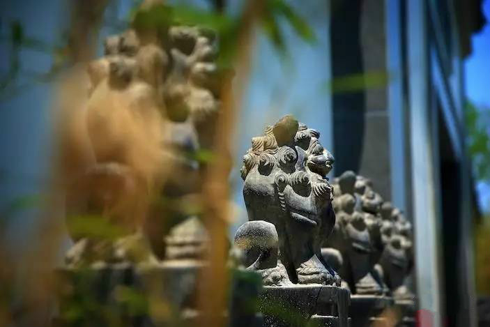 大美江南·蘇洲府，生長在姑蘇古城的園子