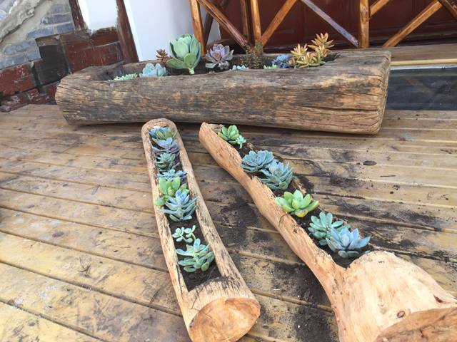 古一私邸，在大理洱海風(fēng)花雪月演繹痛快人生