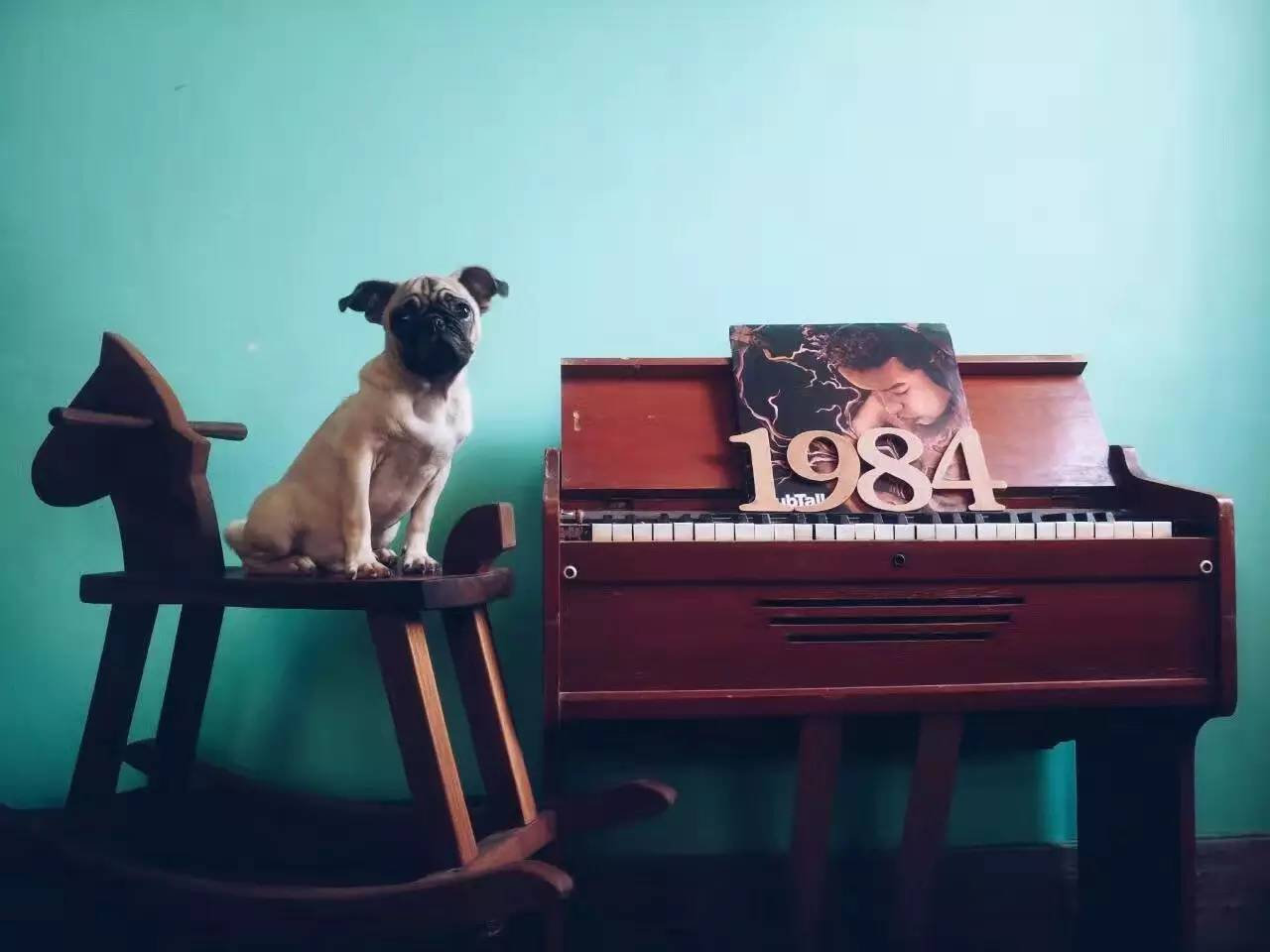 廣州覺園1984，來這里感受民國藝術(shù)的氣息