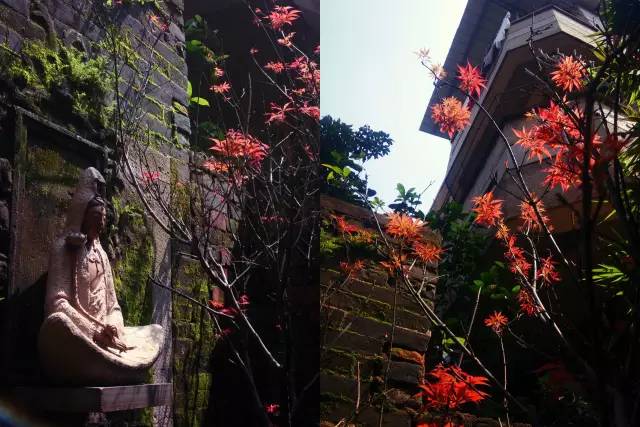 廣州覺(jué)園1984，來(lái)這里感受民國(guó)藝術(shù)的氣息