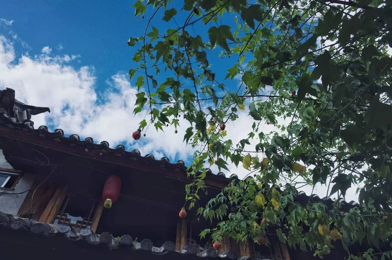 文殊·林舍，在麗江古城過著獨一無二的小日子