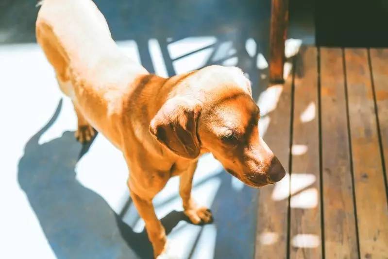 文殊·林舍，在麗江古城過著獨一無二的小日子